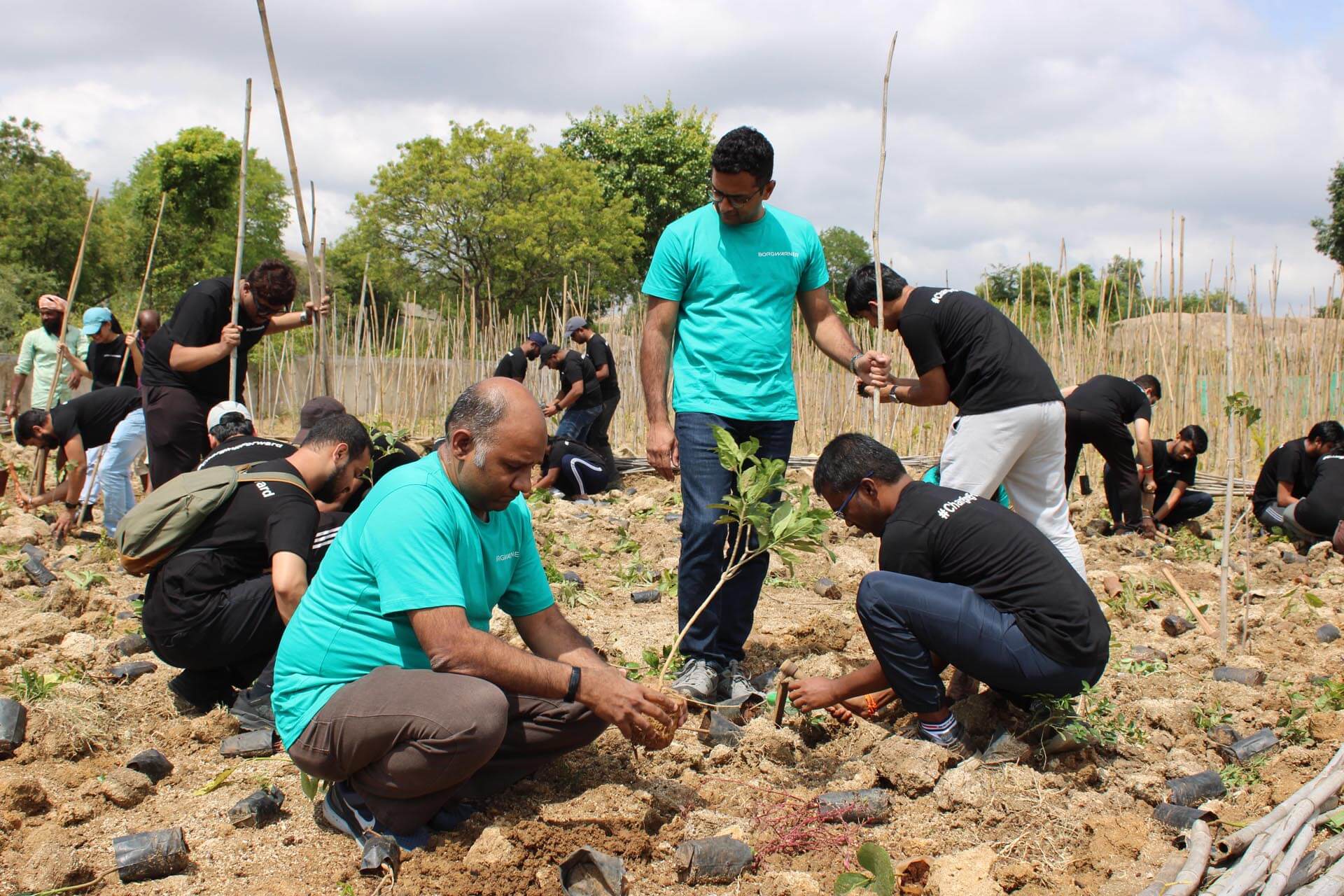 a group of people planting a tree