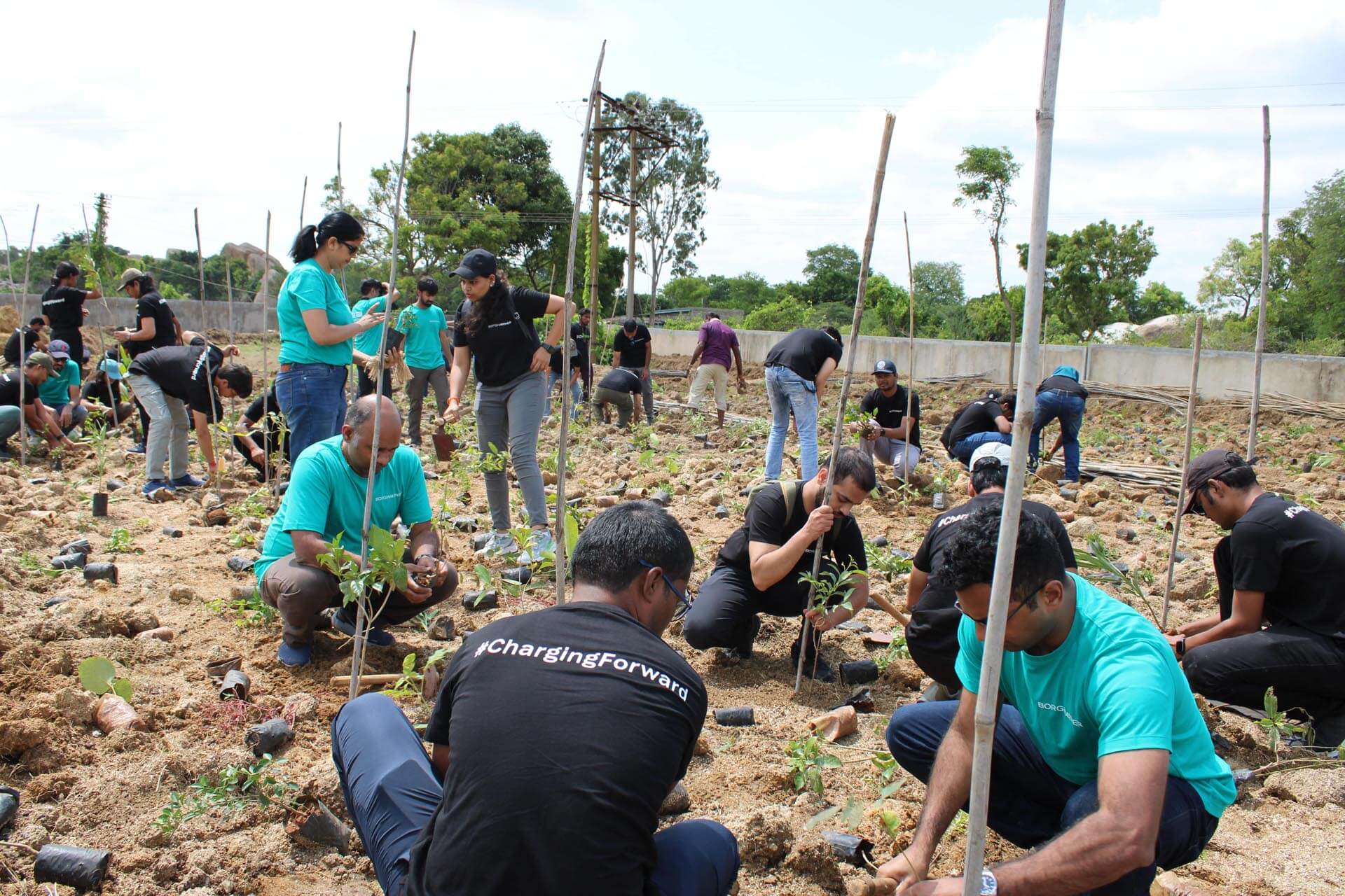 a group of people planting trees