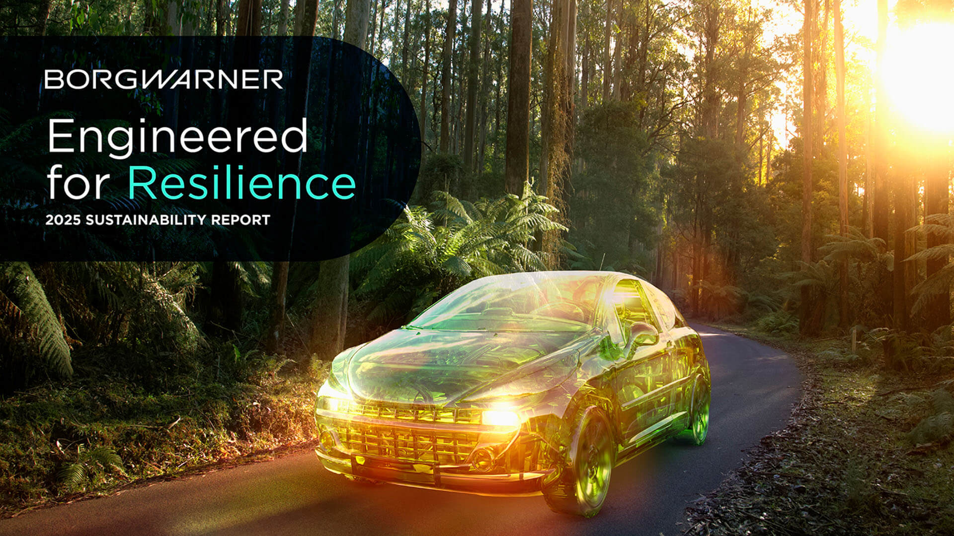 a translucent car driving through a green forest