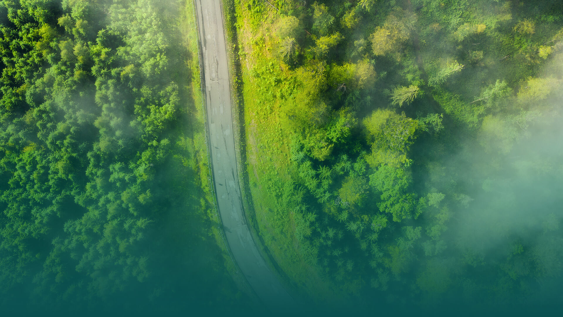 a car driving on a coastal road