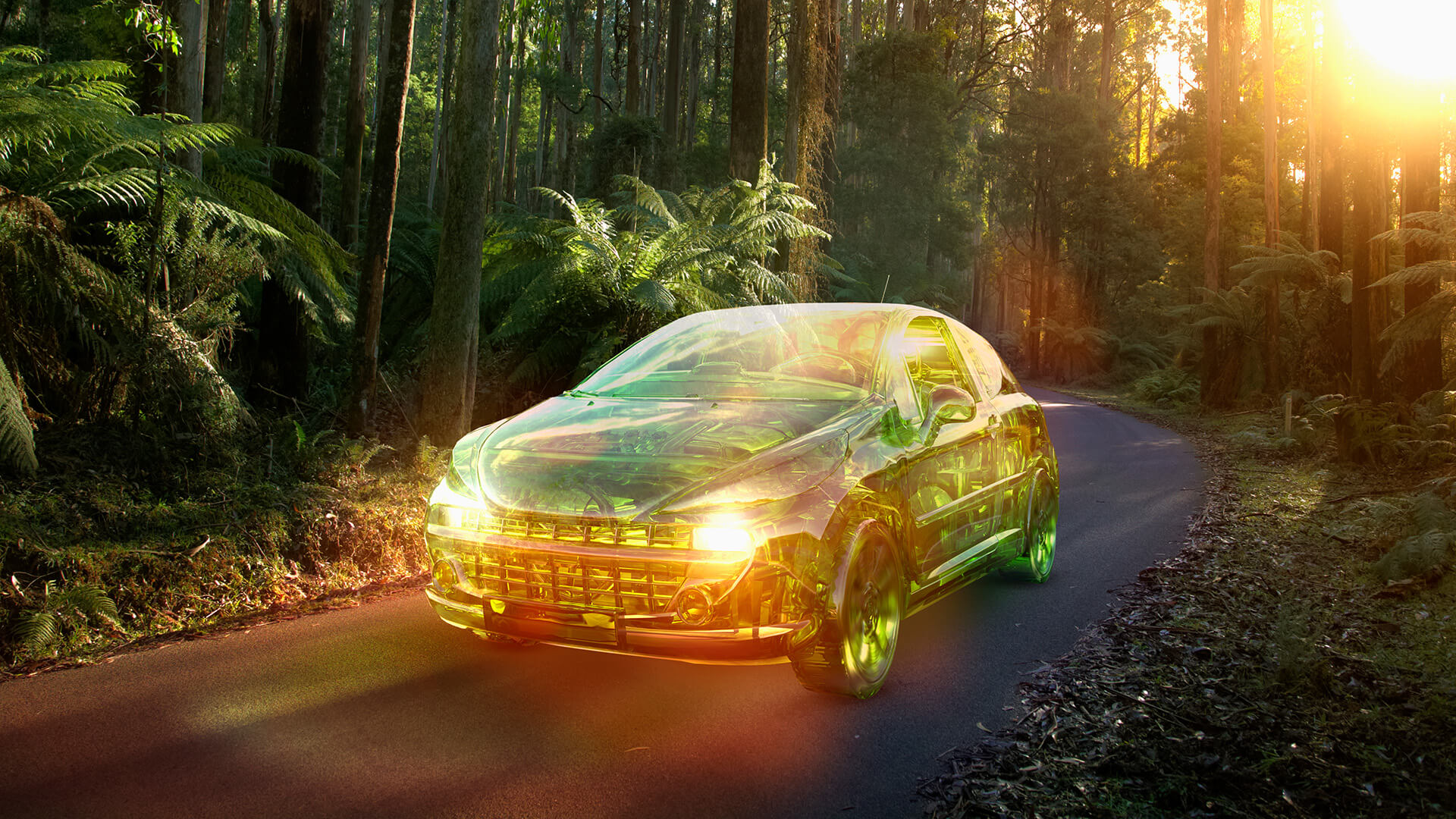 a glas car driving on a road through a forest