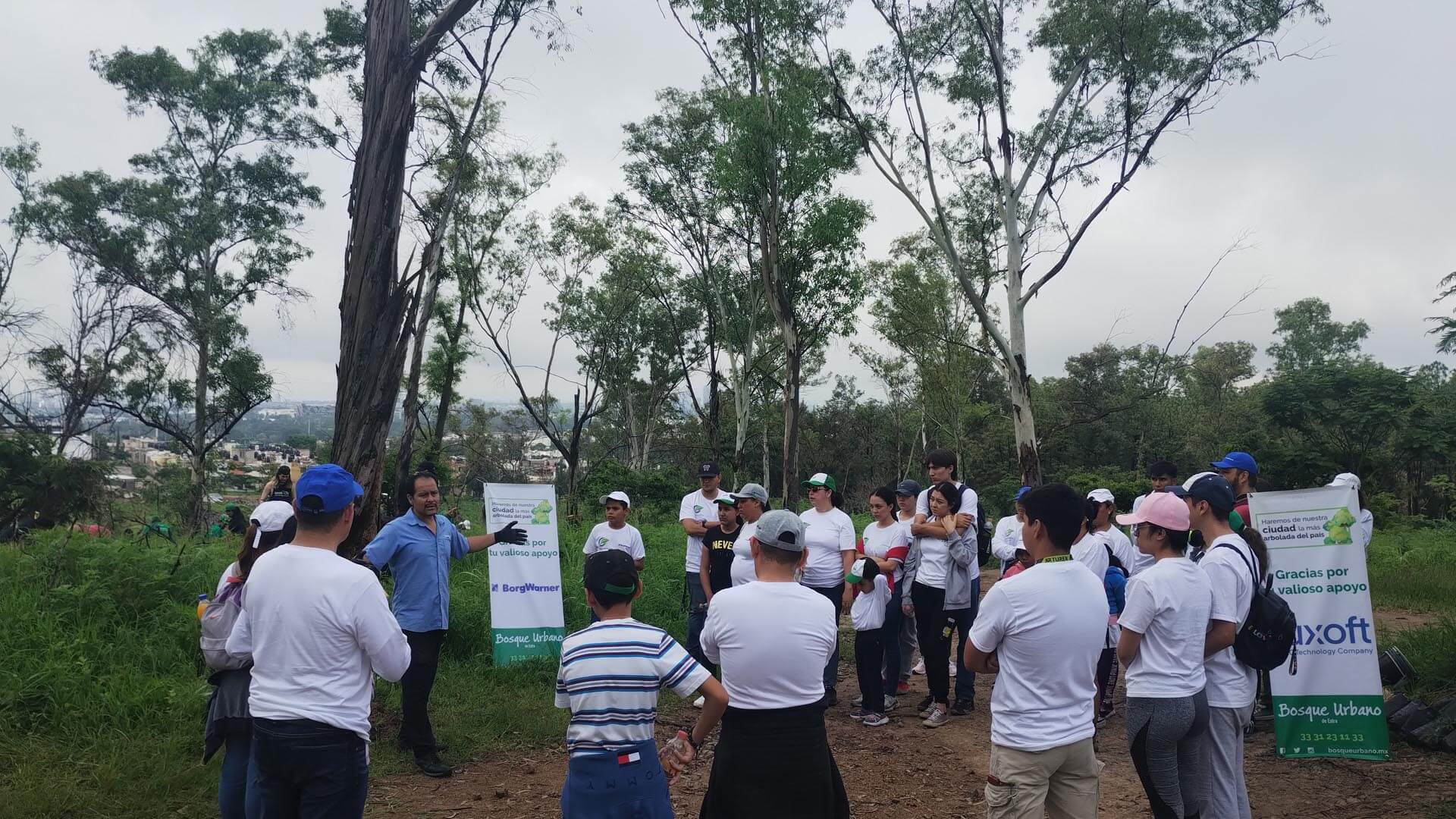 Group of people in the woods with an expert holding a speech