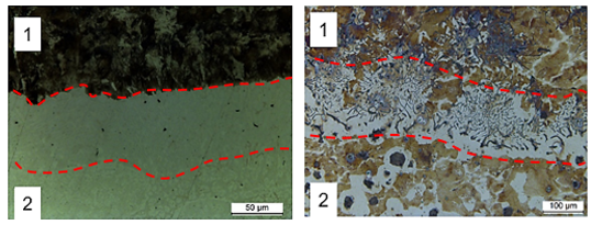 Badania mikroskopowe_Microscopic examination